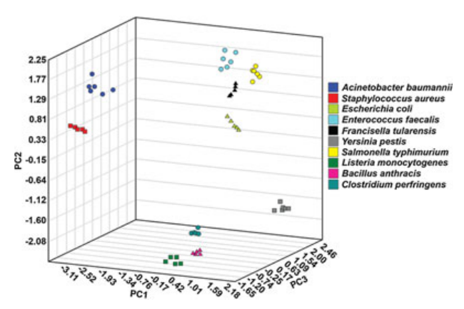 Plot of the first three principal components of DART fatty acid spectra for ten different bacterial genera.