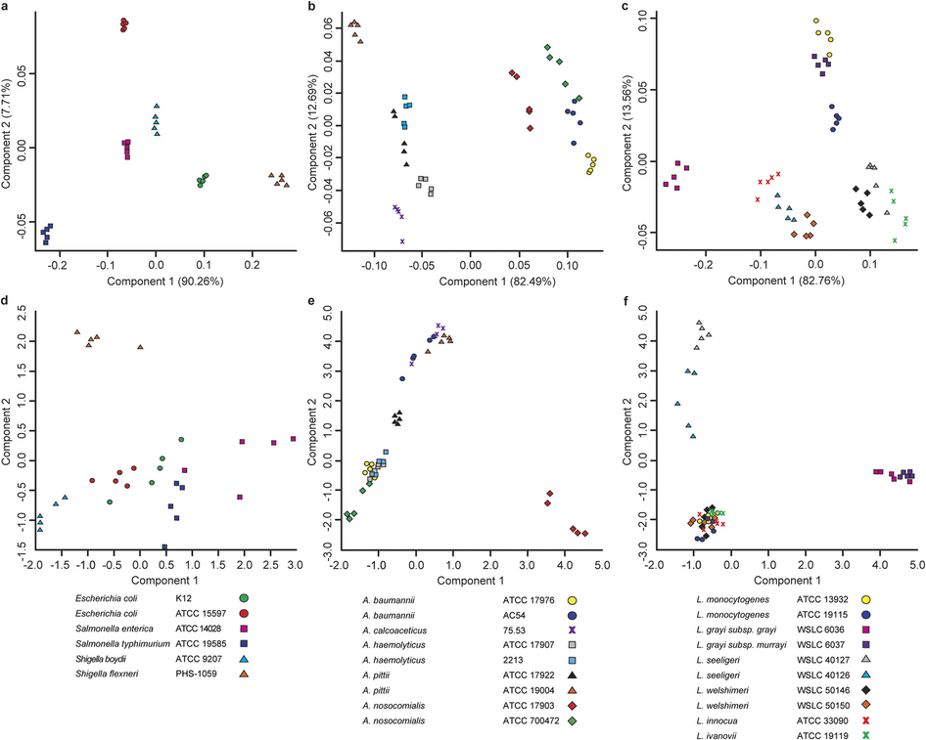 Comparison of protein and CeO2-catalyzed fatty acid bacterial identification. PCA plots of CeO2-catalyzed fatty acid profiles (a) Enterobacteriacae, (b) Acinetobacter, and (c) Listeria. (d-f) PCA plots of protein spectra of same phylotypes. The percent variance for each FA component is shown in parentheses.